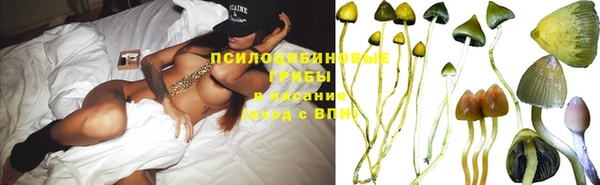дмт Киров