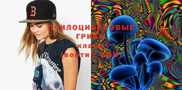 ECSTASY Кукмор