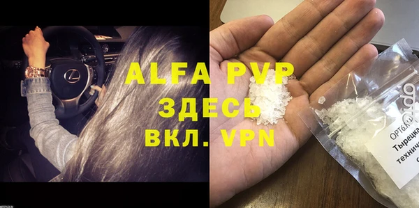 ECSTASY Кукмор