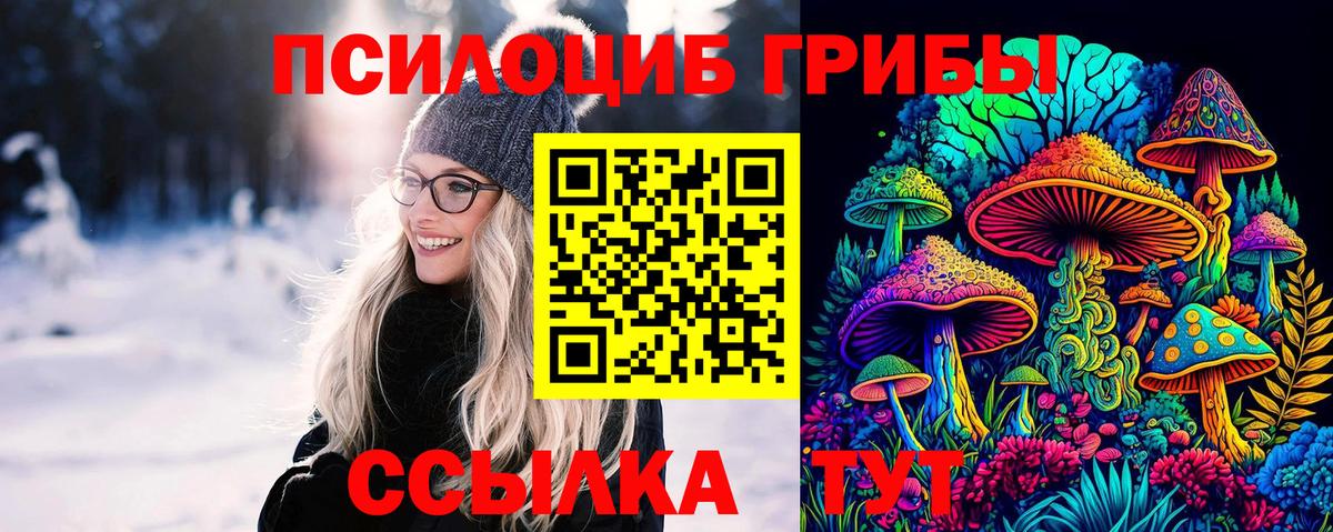 Галлюциногенные грибы GOLDEN TEACHER  Галлюциногенные грибы GOLDEN TEACHER  Ноябрьск  Вход с VPN 